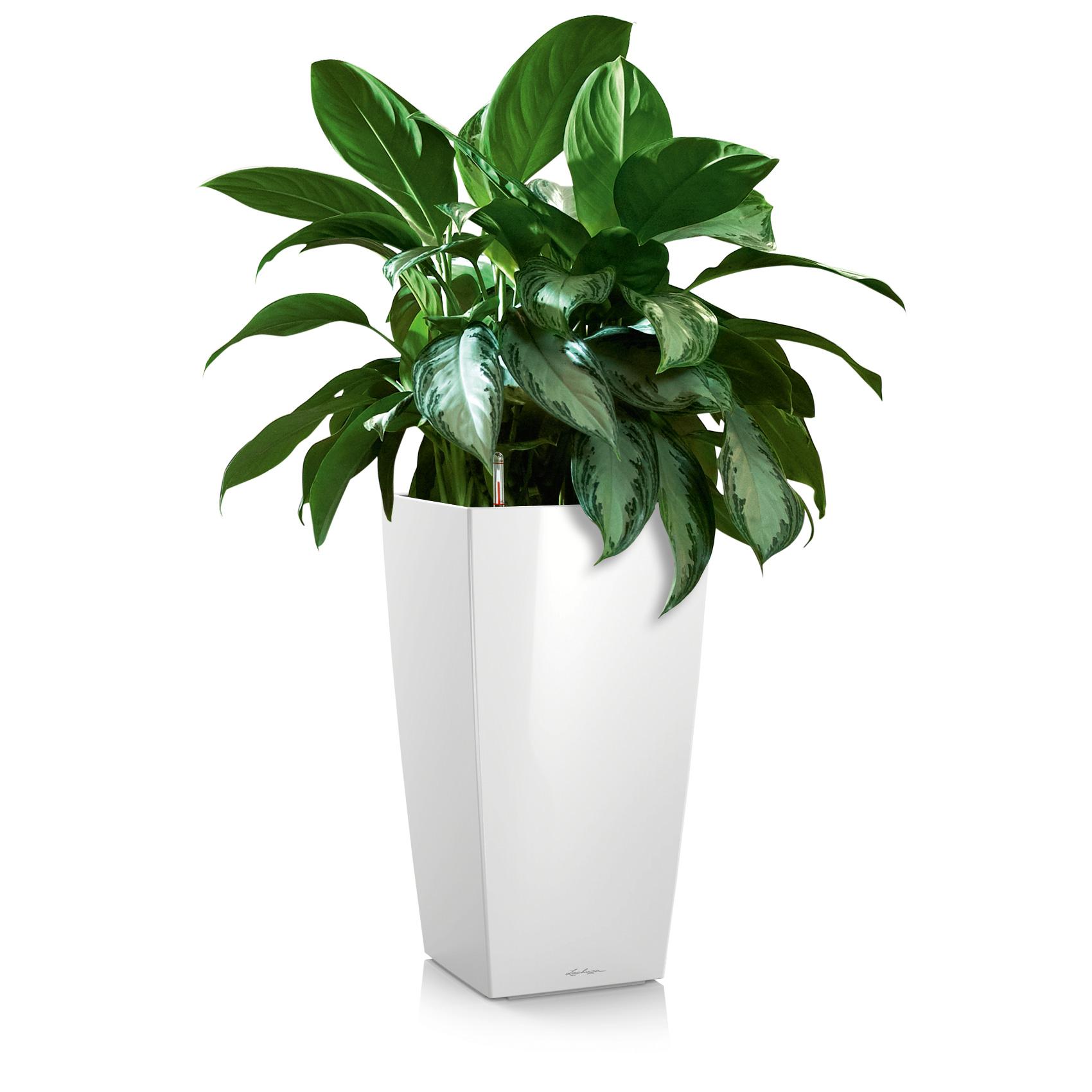 CUBICO 30 white high-gloss